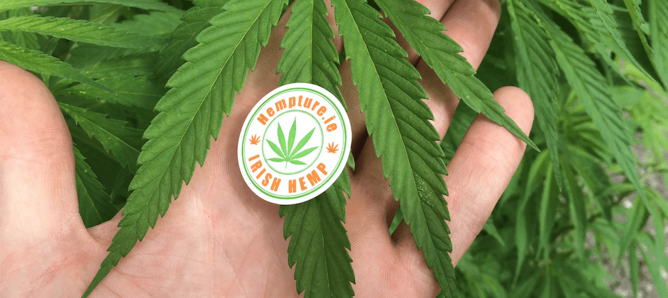 Hempture Mini Franchise - Image 12