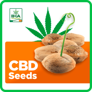 Hemp and CBD Seeds
