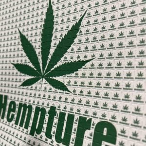 HEMPTURE 'Green Sunshine" CBD BLOTTERS - FULL SHEET