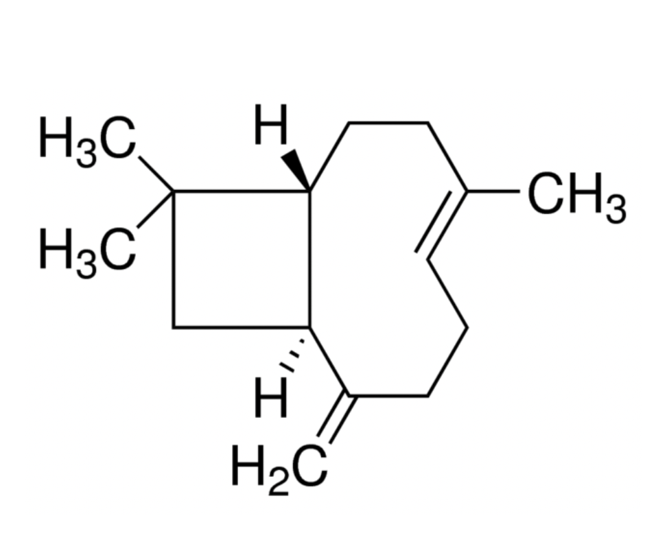 Beta-Caryophyllene Terpenes - Image 6