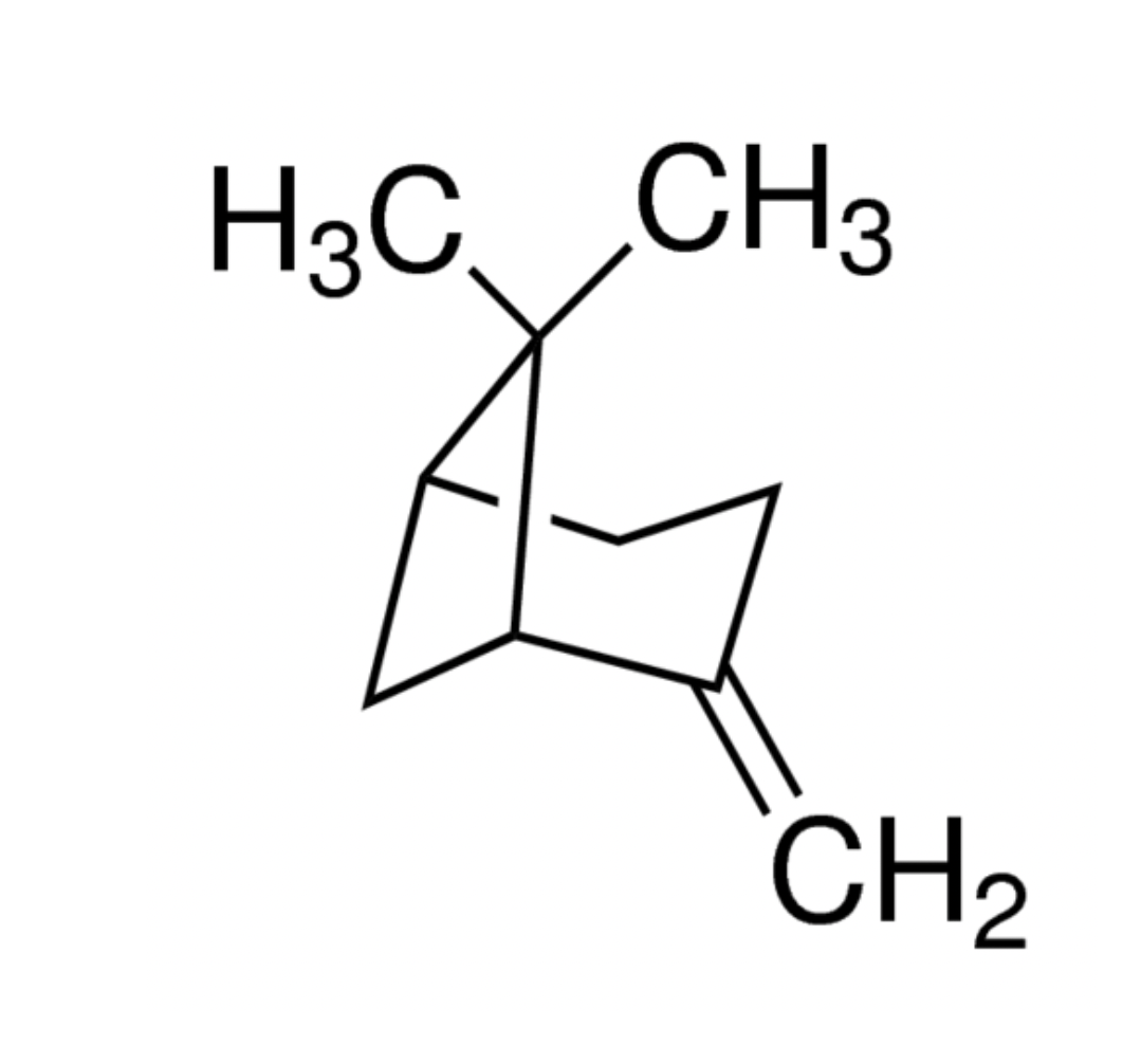 Beta Pinene Terpenes - Image 7