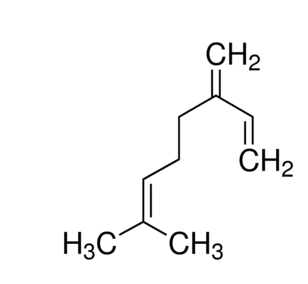 Myrcene Terpenes - Image 5