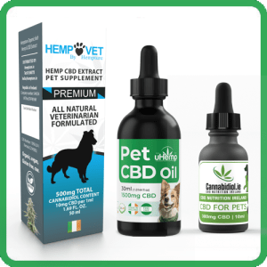 CBD for pets